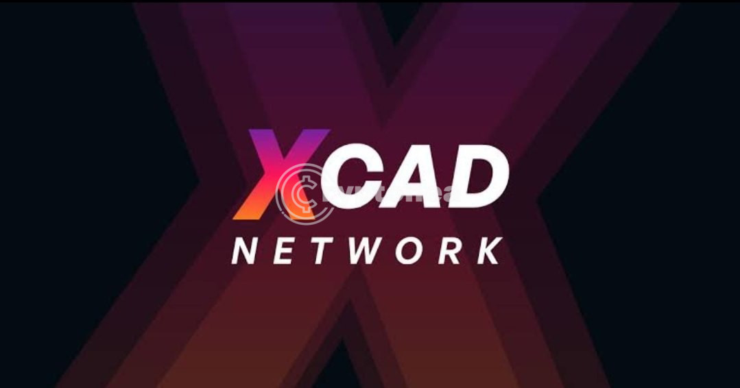 Το Xcad Network προσελκύει επενδύσεις από τους YouTubers Mr Beast και KSI