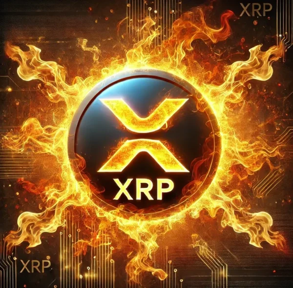 xrp bull run